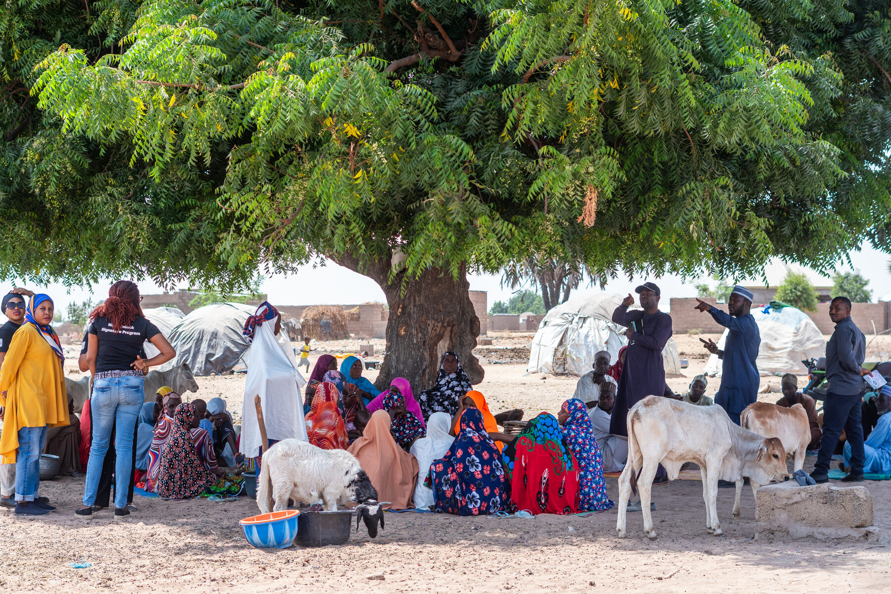 Women members of the Gondal Fulbe cooperative gathered in community meeting